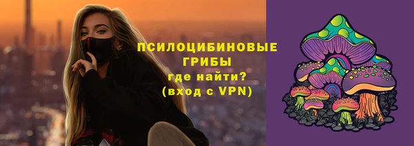 МДМА Бородино