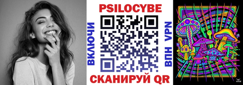 Галлюциногенные грибы Psilocybine cubensis  Купить  Новоузенск 